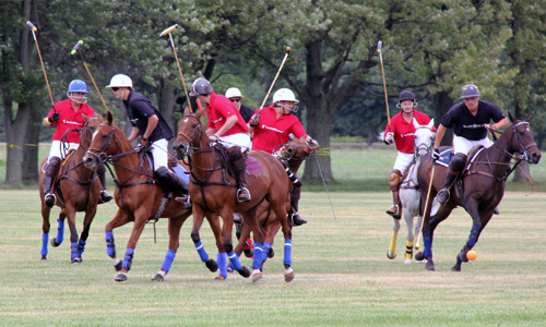 Polo match