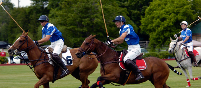 Polo Niagara