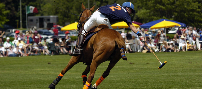 Polo Niagara